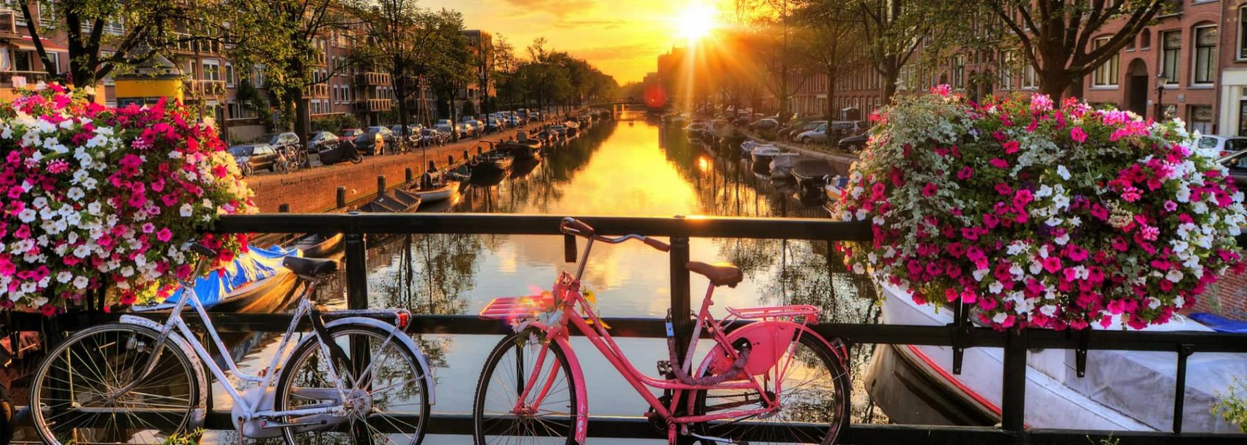 amsterdam cultural trip header nstie